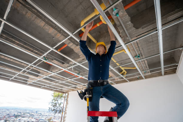 Best Emergency Plumber  in Centreville, MS