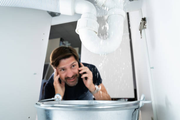 Best Water Leak Repair  in Centreville, MS