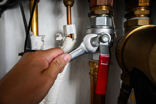 Best Plumbing Inspection Services  in Centreville, MS
